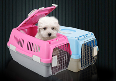 廣州機場物流【機場物流部】_機場貨運公司【當日快件抵達】